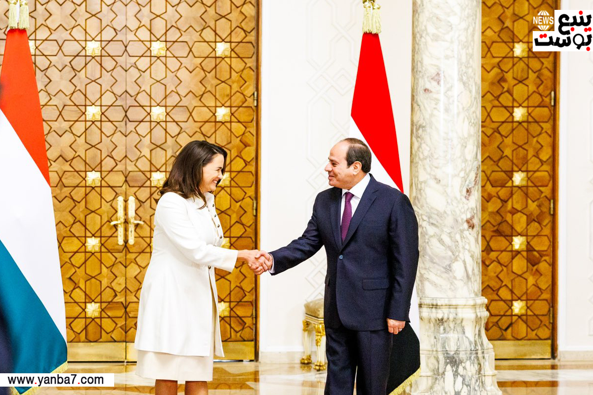 كاتالين نوفاك تصافح الرئيس المصري