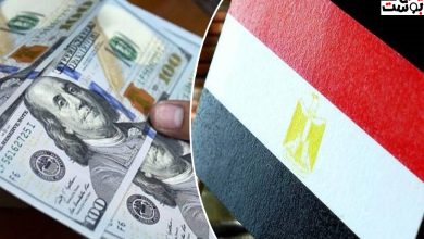 خلال 14 يوماً.. تراجع سعر الدولار في مصر بقيمة 2.77 جنيه