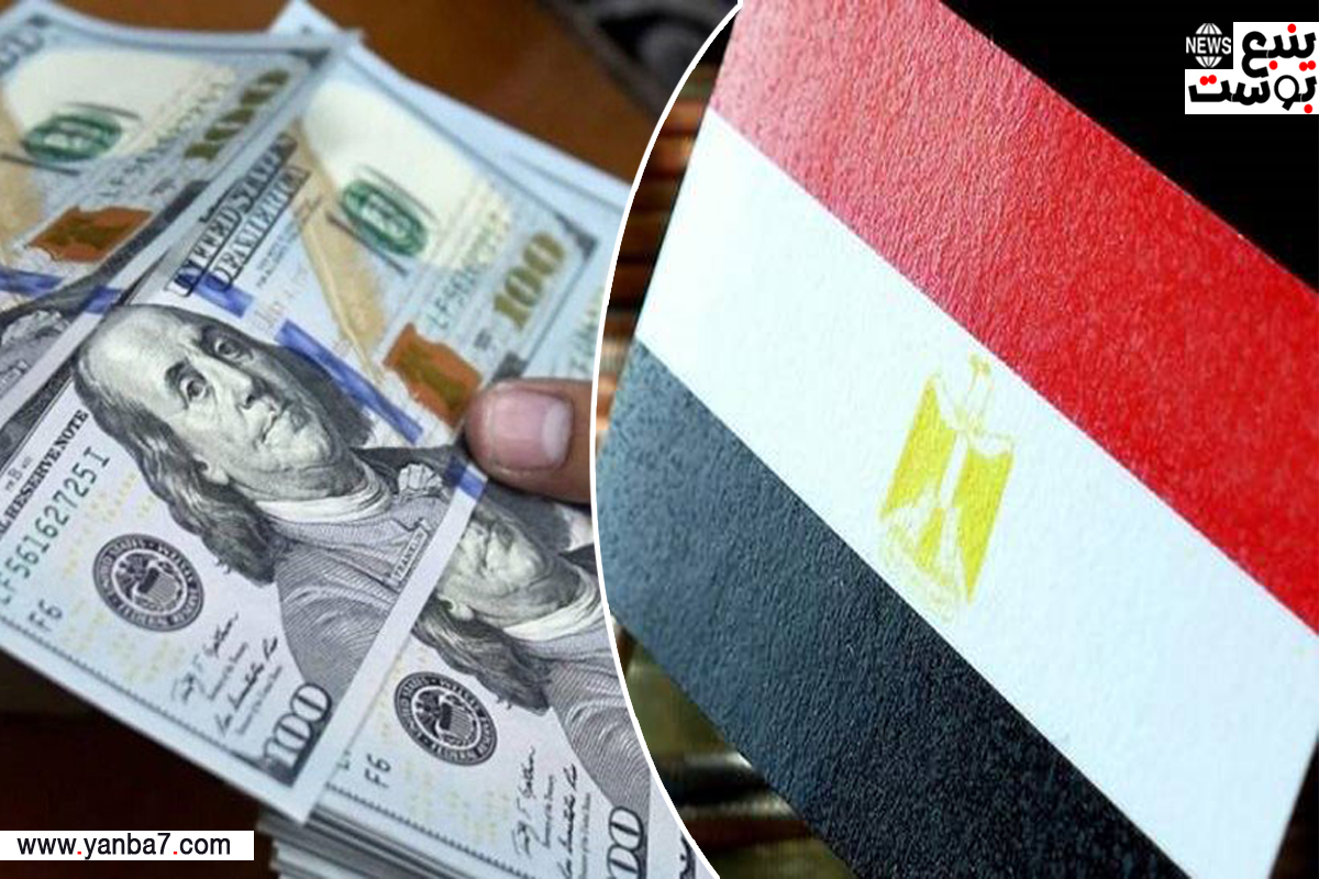 خلال 14 يوماً.. تراجع سعر الدولار في مصر بقيمة 2.77 جنيه